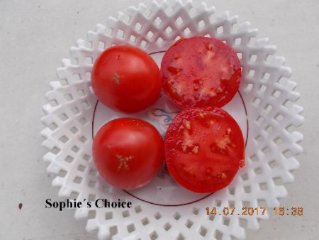 Sophie´s Choice (GRV)